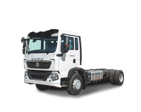 Camion Howo TX Cargo 4x2